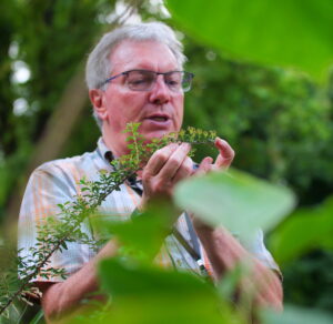 Pascal prieur